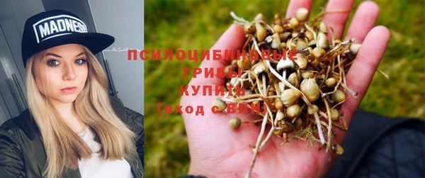 каннабис Балахна