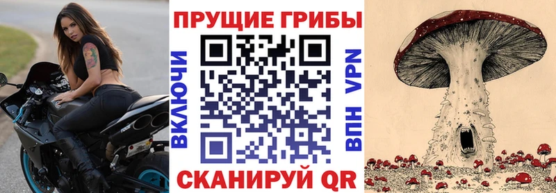 blacksprut маркетплейс  Лакинск  Псилоцибиновые грибы мицелий 